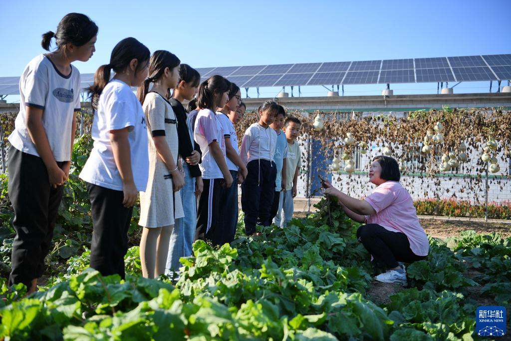 大发注册送38体验金
